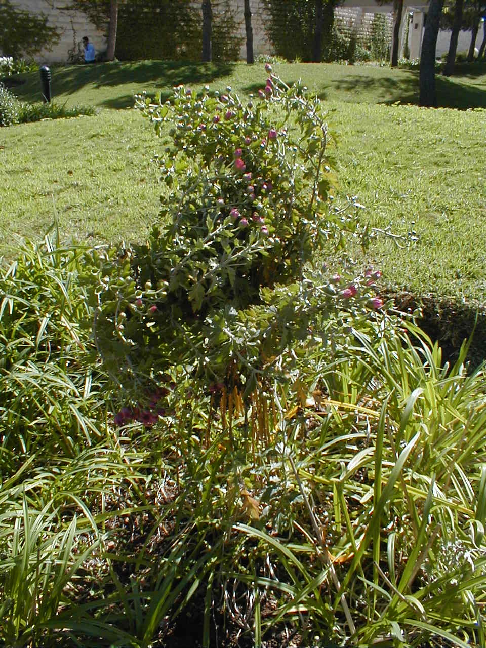 PA190029.JPG