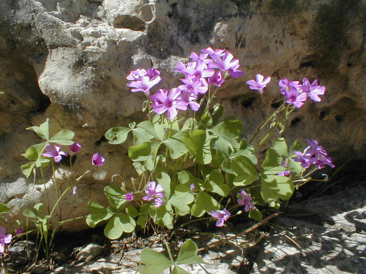 PA190030.JPG