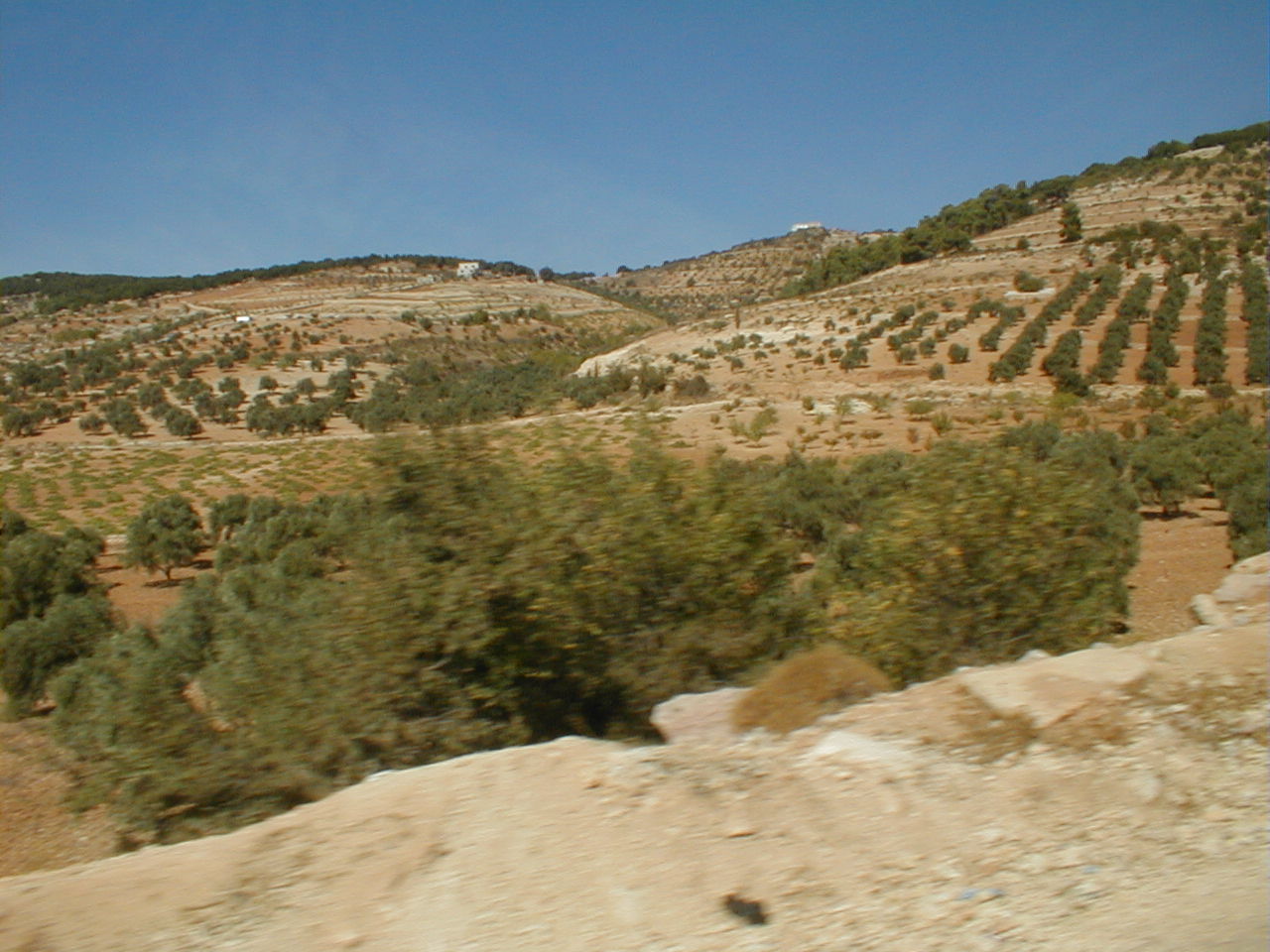 Gilead Mtn agriculture.JPG