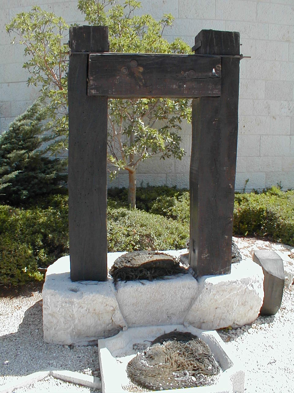 JC Screw Oil Press.JPG