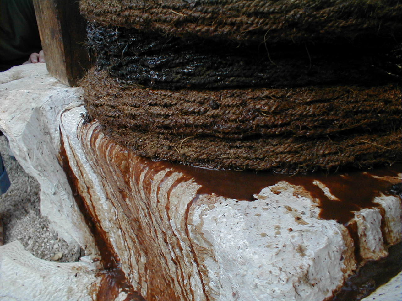Olive Press screw juice 2.JPG