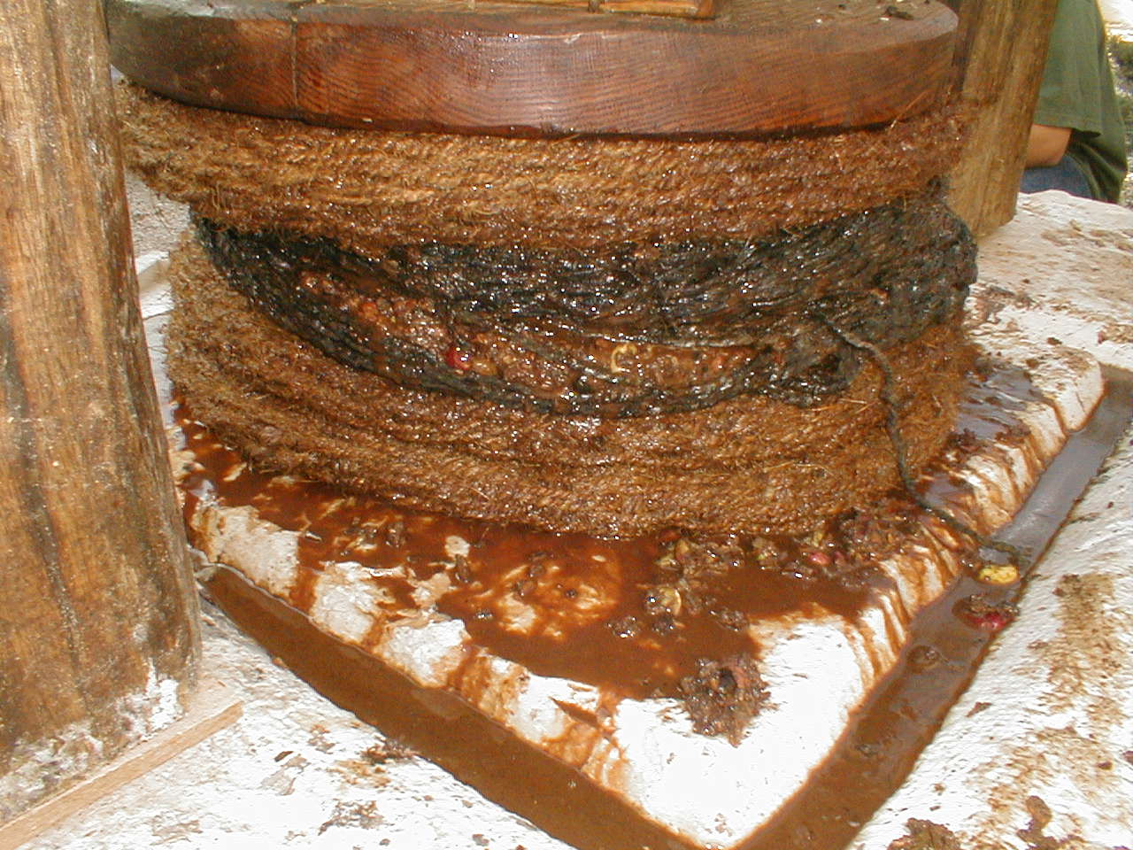 Olive Press screw juice.JPG