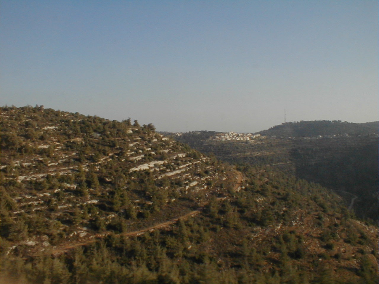 Terracing.JPG
