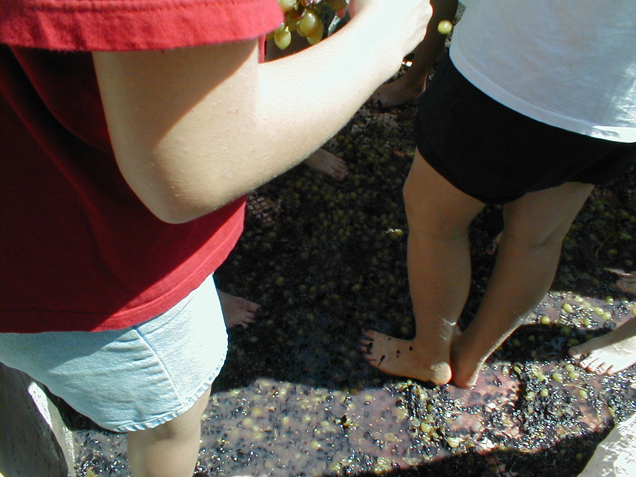 Winepress floor.JPG