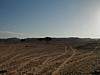 Bedouin Homeland on Sinai.JPG