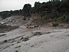 Sheep Herder 1.JPG