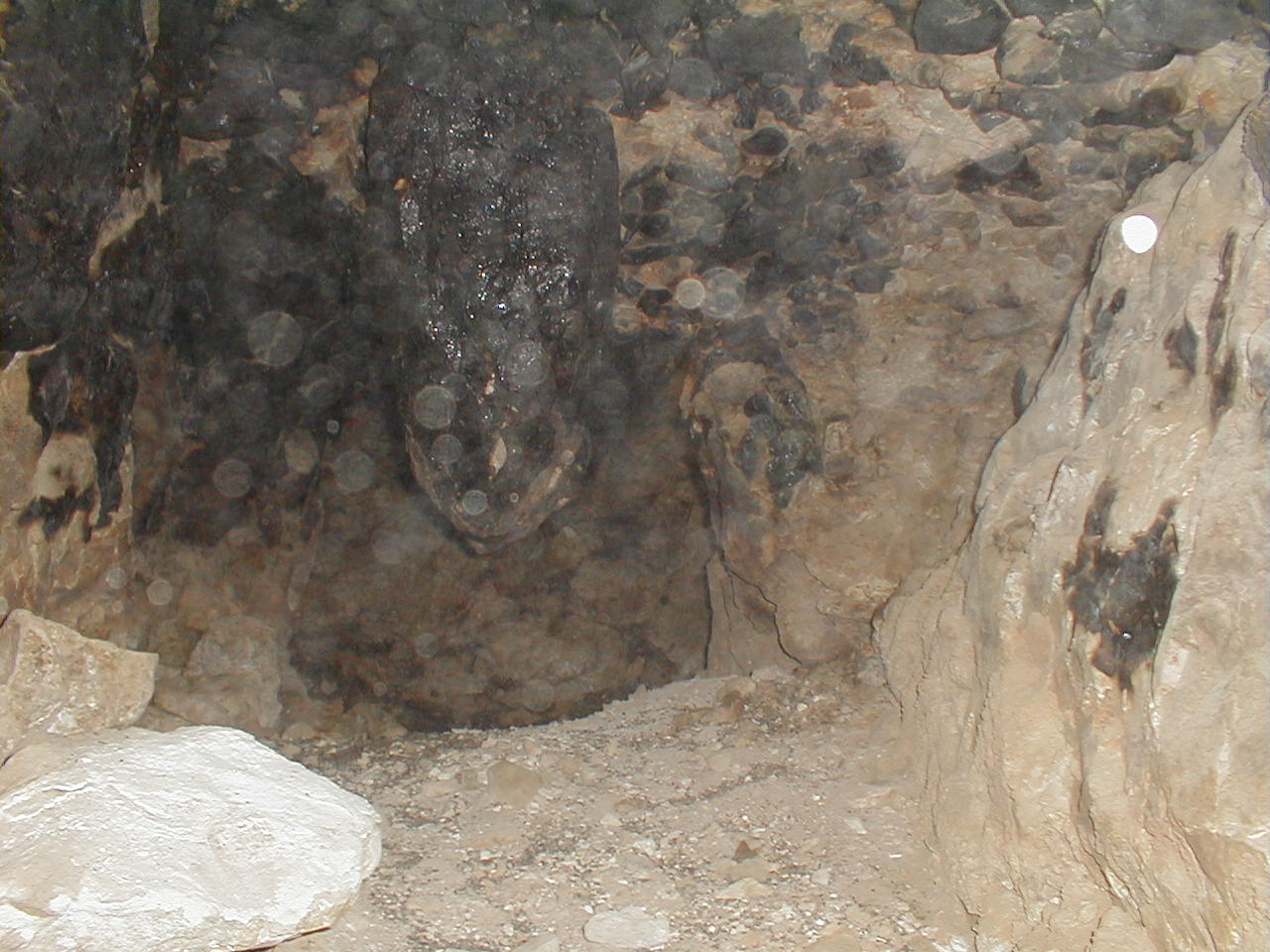 Bat Cave.JPG