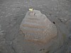 JC in Sand.JPG