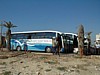 JOTT Buses.JPG