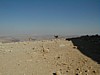 Machtesh Ramon Ibex.JPG