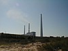Plant near Caesarea.JPG