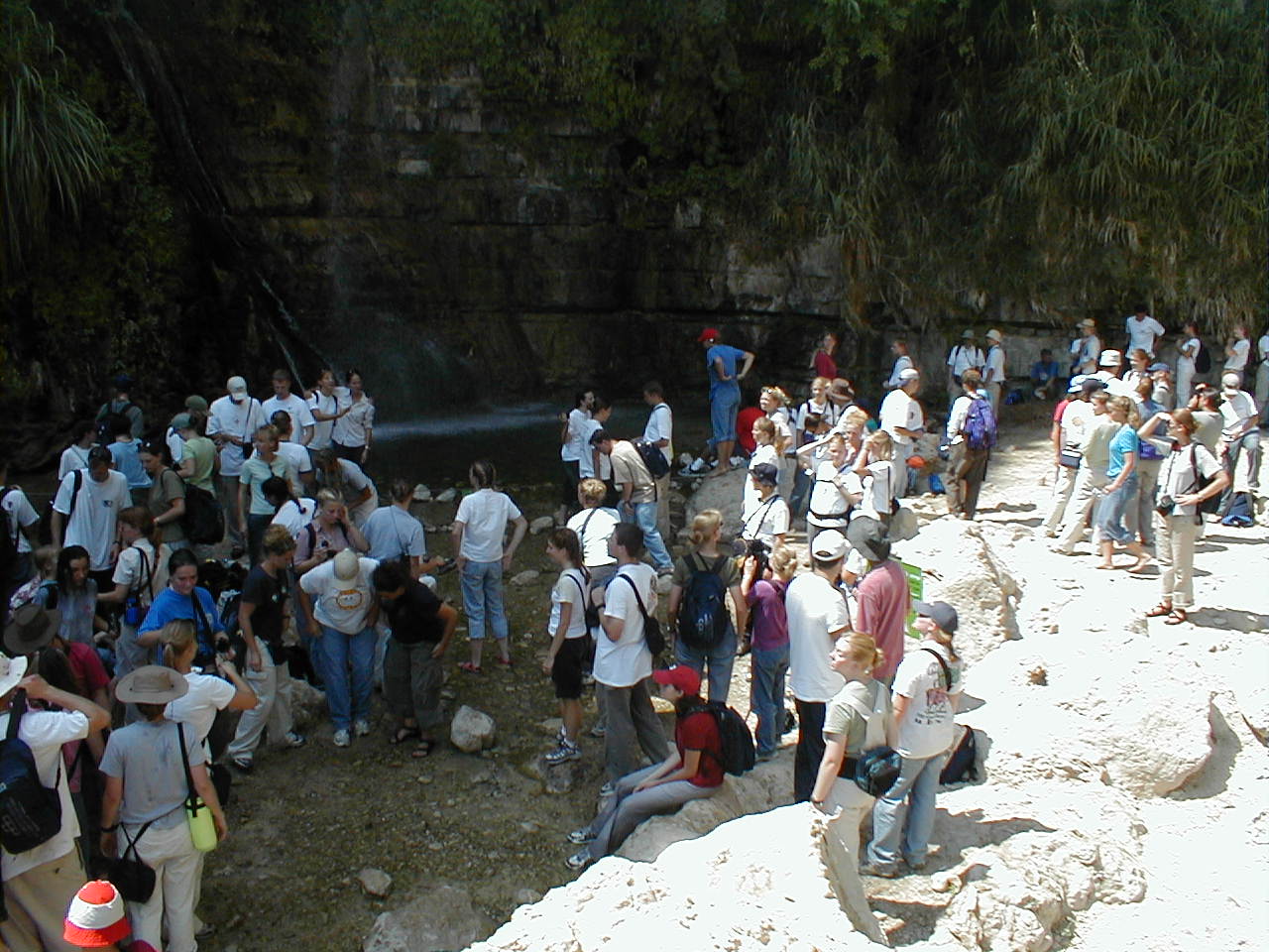 Ein Gedi - Many Mormons.JPG