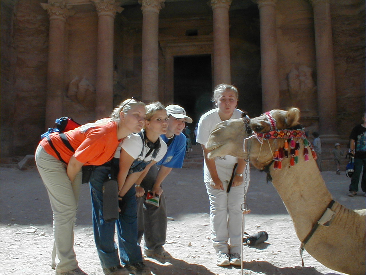 Petra - Camel Love.JPG