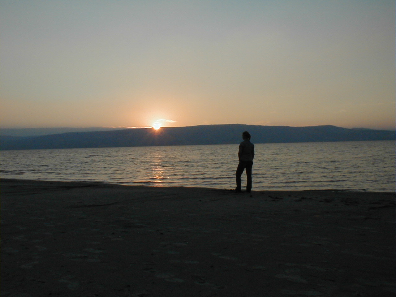 Sunset Sue 2.JPG