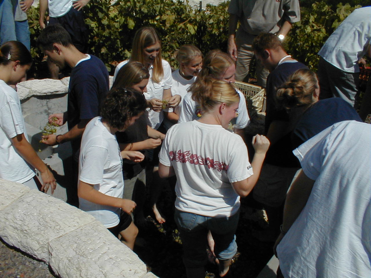 Winepress1.JPG