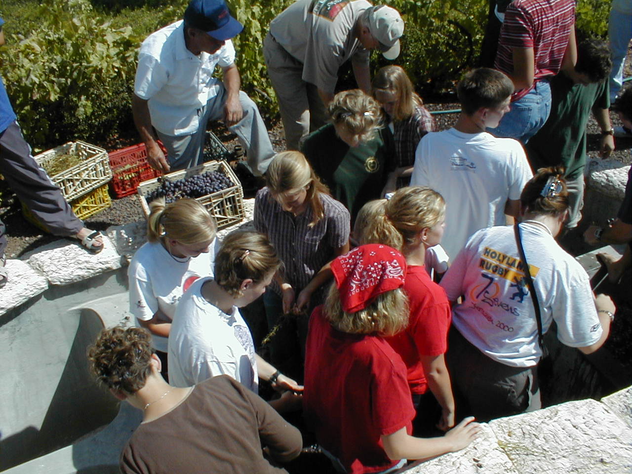 Winepress10.JPG