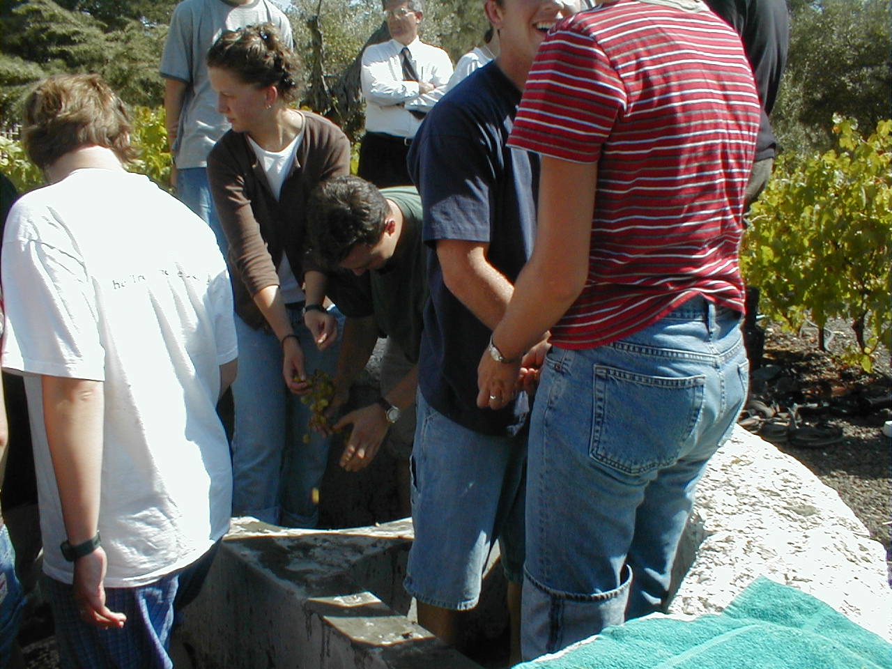 Winepress12.JPG