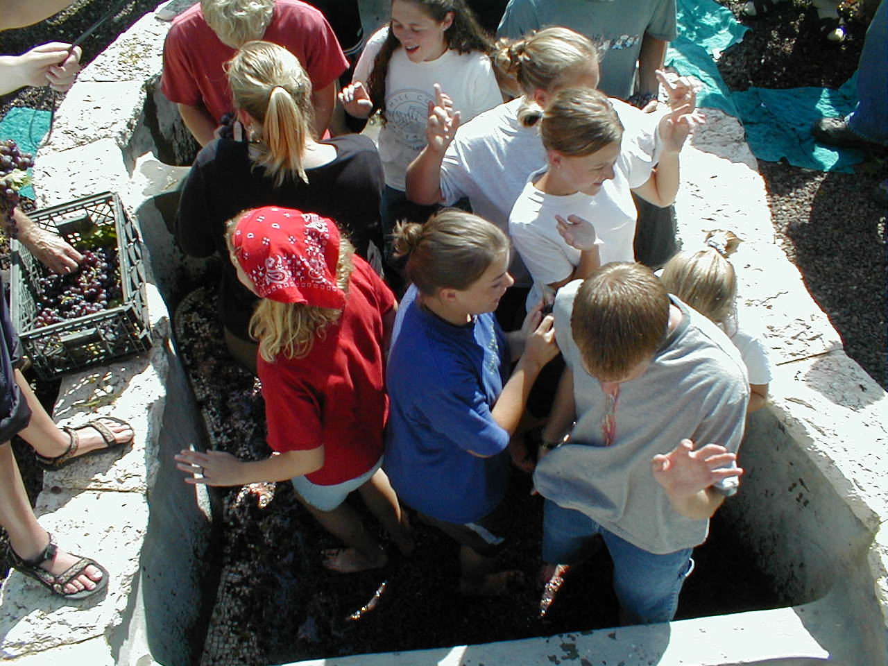 Winepress13.JPG