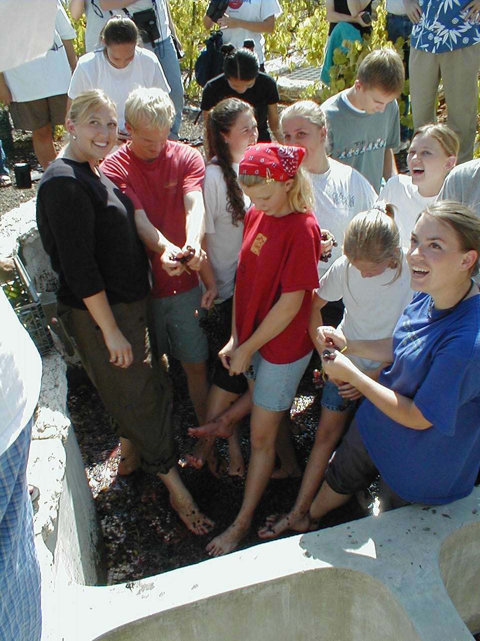 Winepress14.JPG