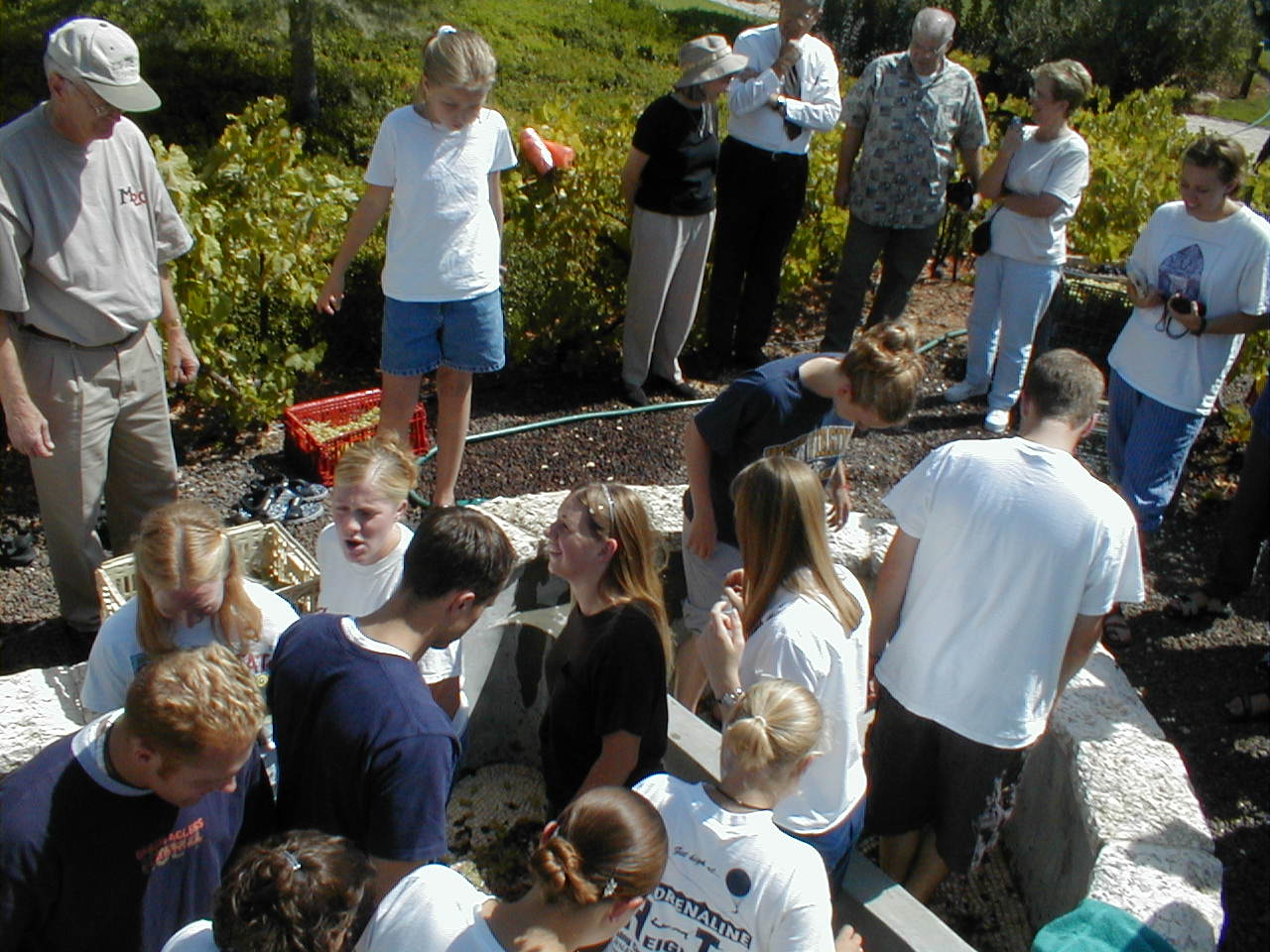 Winepress2.JPG