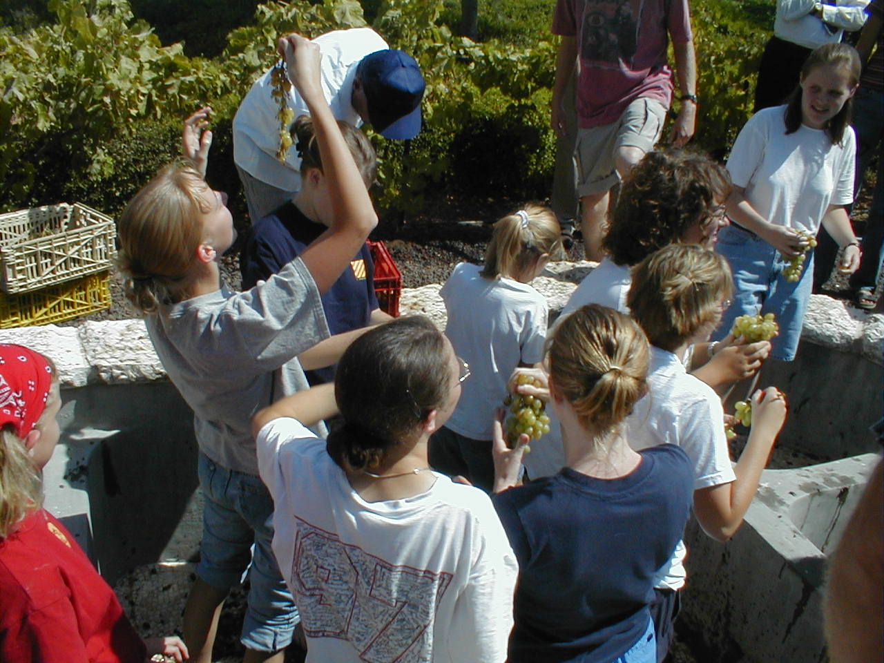 Winepress4.JPG