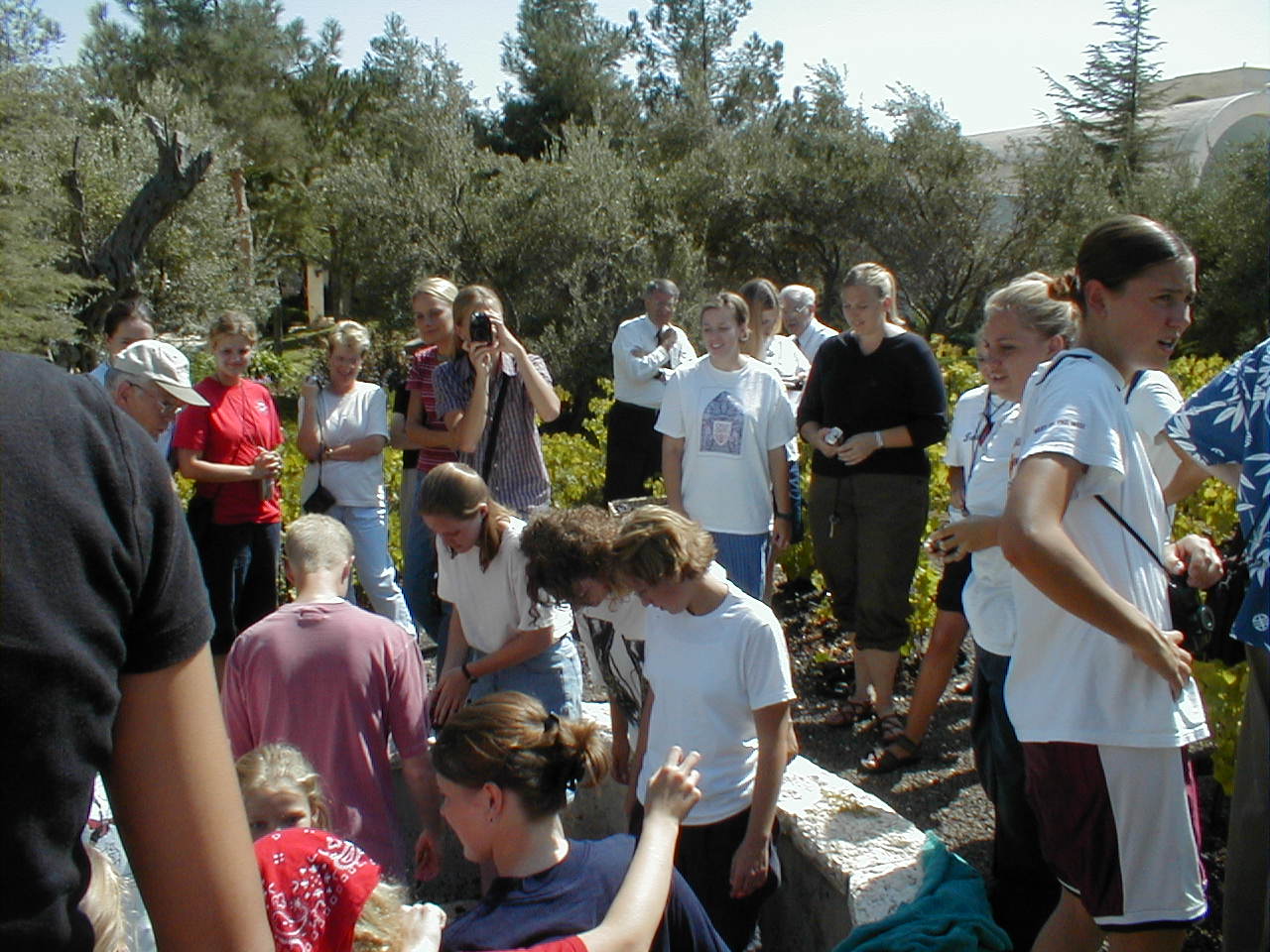 Winepress7.JPG