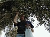 Olive Harvest - Kellie.JPG