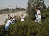 Olive Harvest - group.JPG