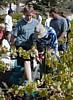 Winepress - Ben.JPG