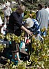 Winepress - Leah.JPG