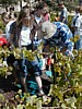 Winepress - Lori.JPG