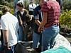 Winepress12.JPG