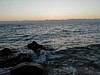 Red Sea Rocks 3.JPG