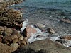 Red Sea shore.JPG