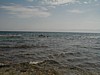 Red Sea snorkle spot.JPG