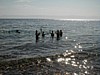Red Sea snorkle.JPG