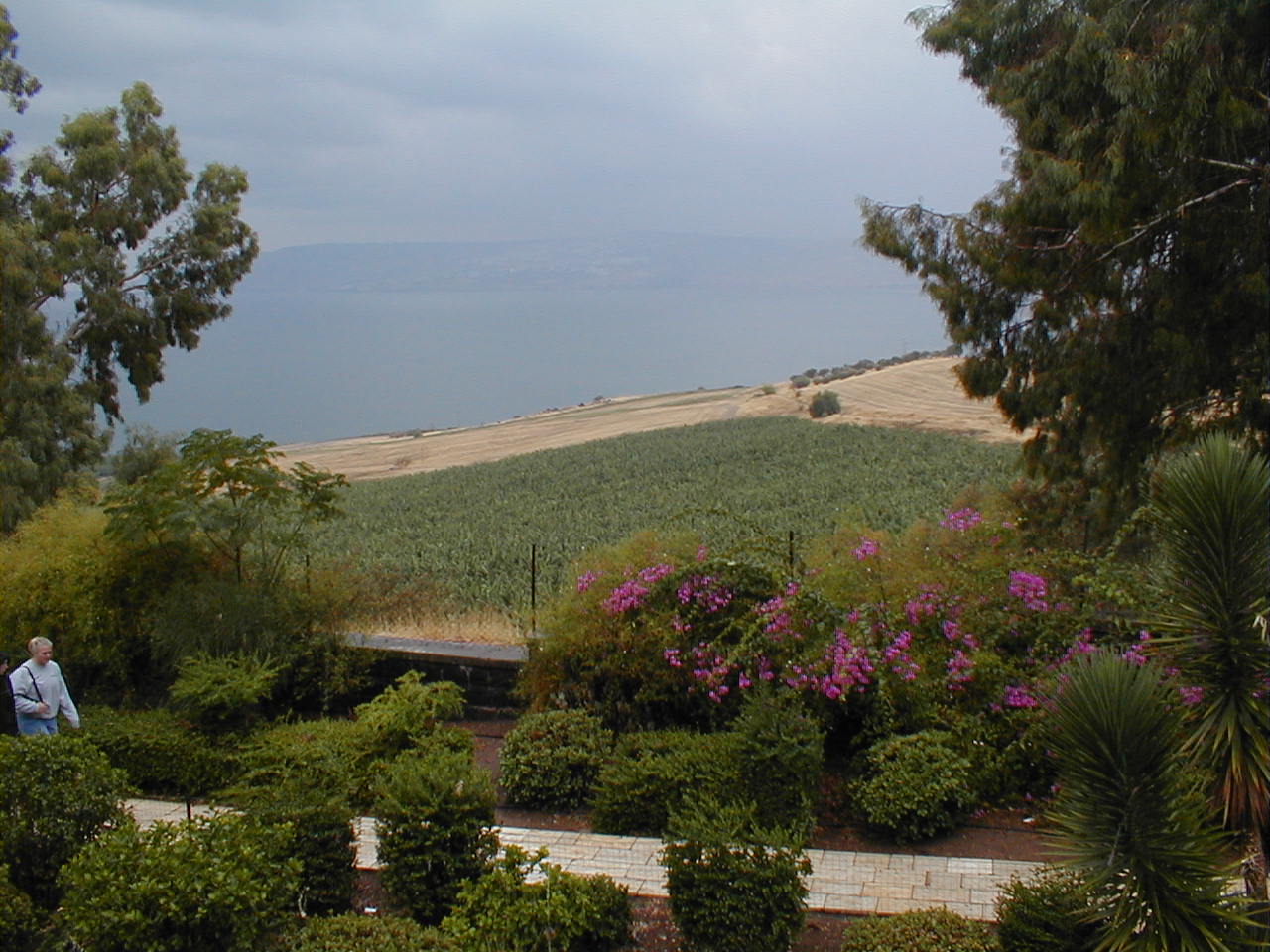 Beatitudes looking to sea.JPG