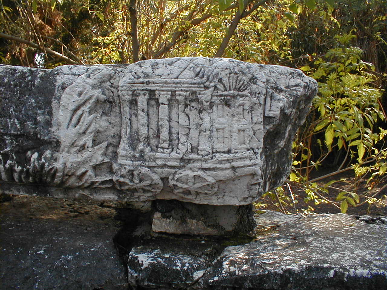 Capernaum Ark Carving.JPG