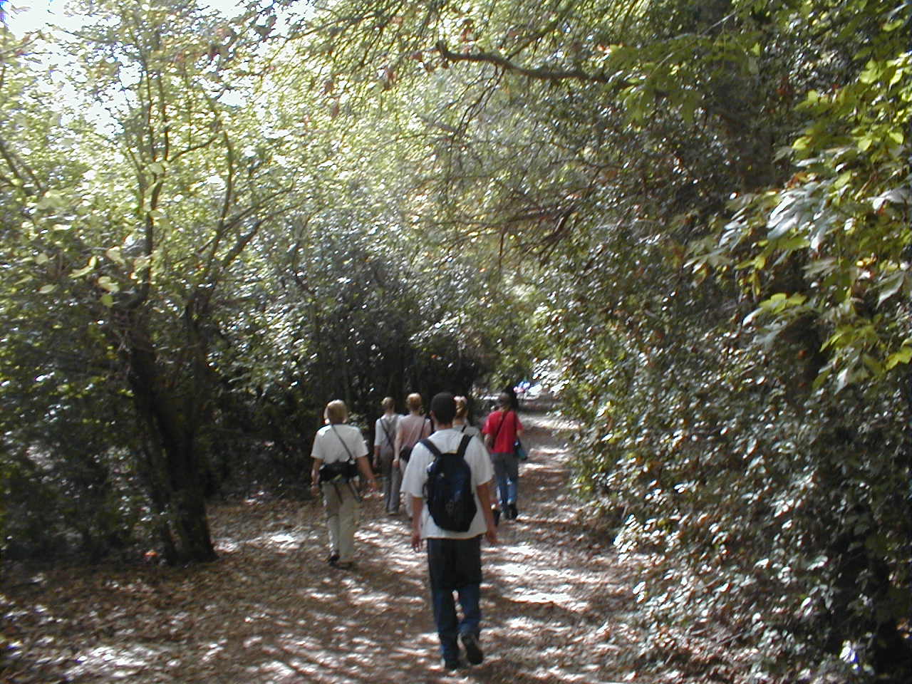 Dan green trail.JPG