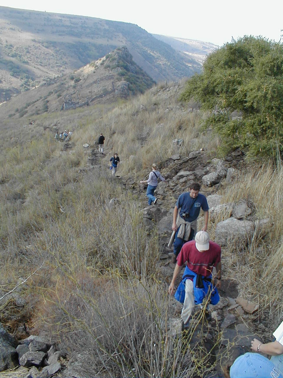 Gamla Trail.JPG