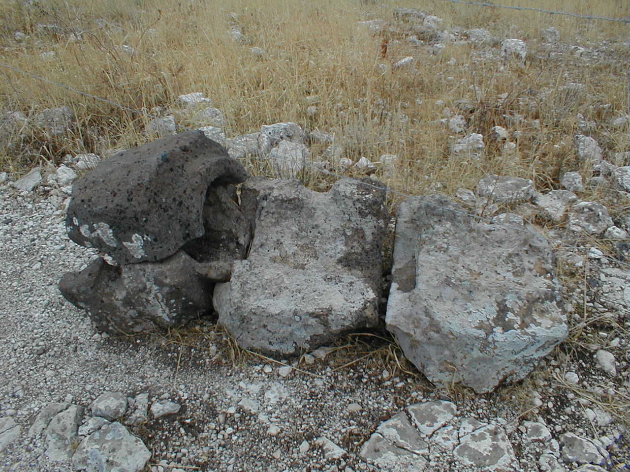 Hippos water pipe.JPG