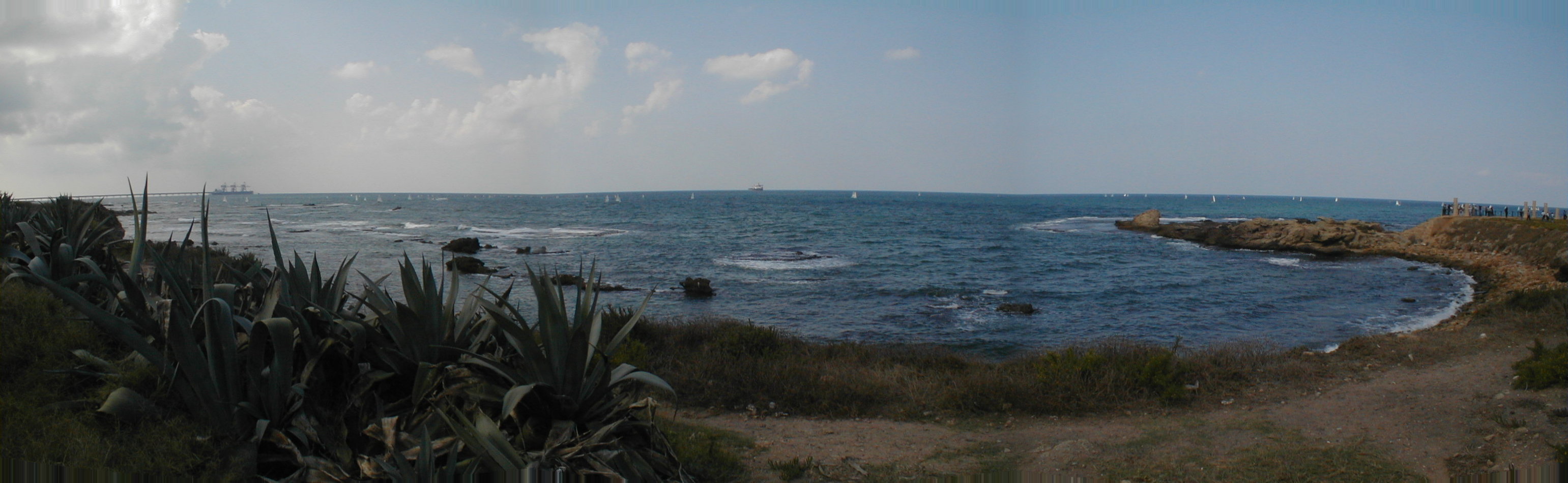 Maritima Pan.jpg
