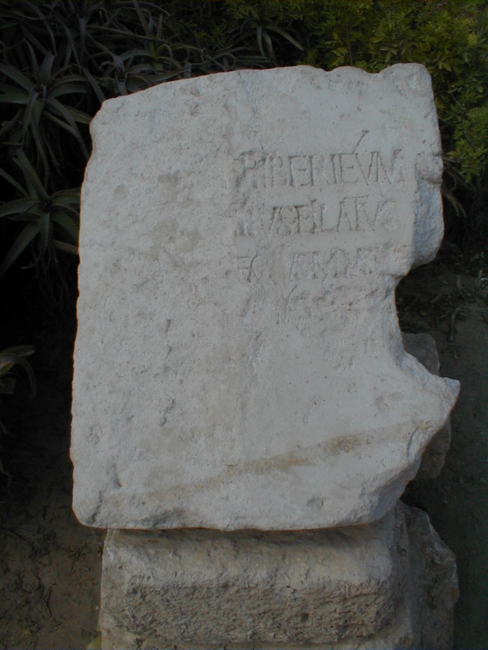 Pilate Inscription Replica.JPG