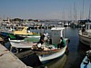 Acco Fisherman in dock.JPG
