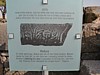 Chorazin Medusa Plaque.JPG