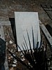 Grave of Georg Grau.JPG