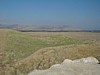 Hazor Unexcavated Tel.JPG