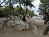 Mt Carmel summit.JPG