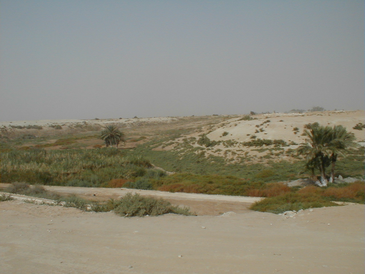 Bethabara - green wadi in desert.JPG
