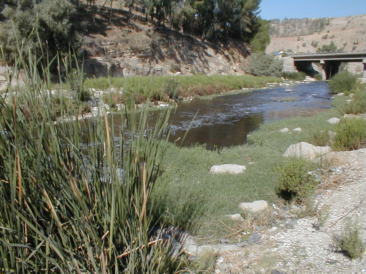 Jabbok River2.JPG